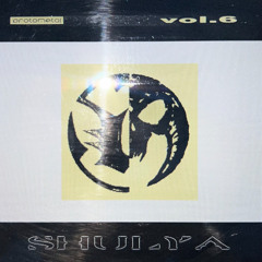 vol.6_SHULYA