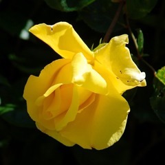 When words can no longer say it