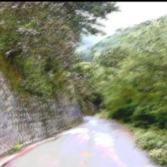 project_37 (normal quality)