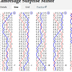 The Ringing Continues