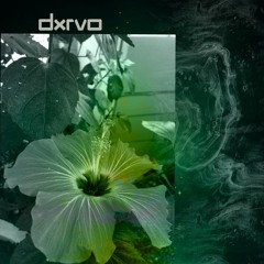 [PREMIERE] | dxrvo - Funky Swell [UR007]