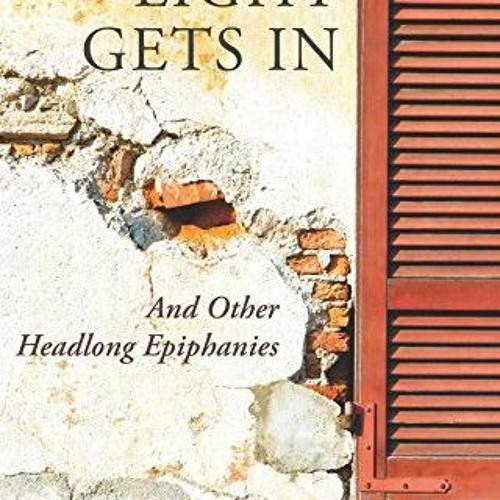 [ACCESS] PDF 🗃️ How the Light Gets in: And Other Headlong Epiphanies by  Brian Doyle