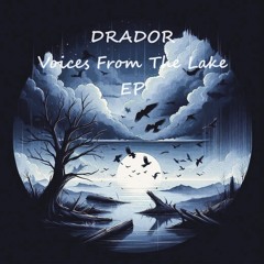 Drador - Don't Let Me Out (Original Mix)
