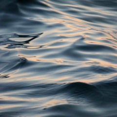 Wave of life