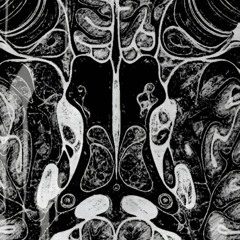 Perfect Shape, Rotten Core