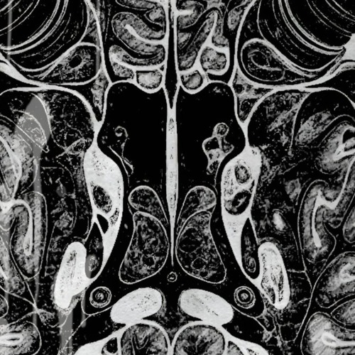 Perfect Shape, Rotten Core