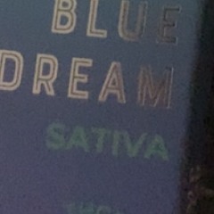 “global phenomenon“ NemoDaRapper