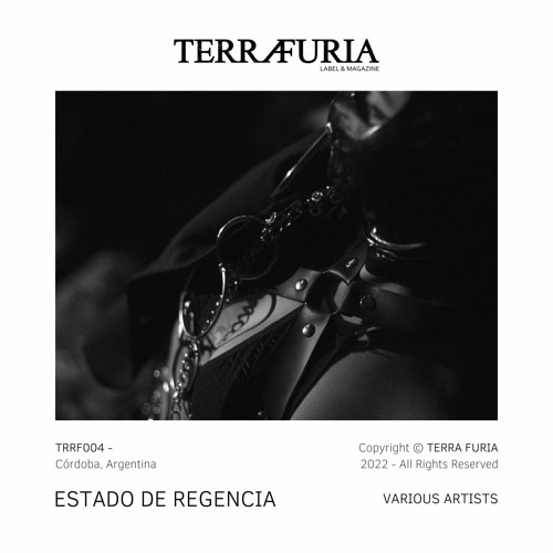TRRF004 - Estado De Regencia / Various Artists - Snippets