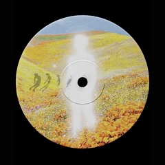 DOJO DUBS - I.F.U