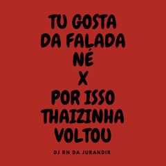 Tu Gosta da Falada Né X por Isso Taizinha Voltou