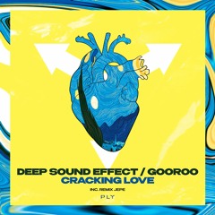 PREMIERE / GOOROO, Deep Sound Effect - Cracking Love (Jepe Discotron Remix) [PLY]