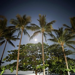 DЯΣΛM ΣYΣ 🇻🇺🔥