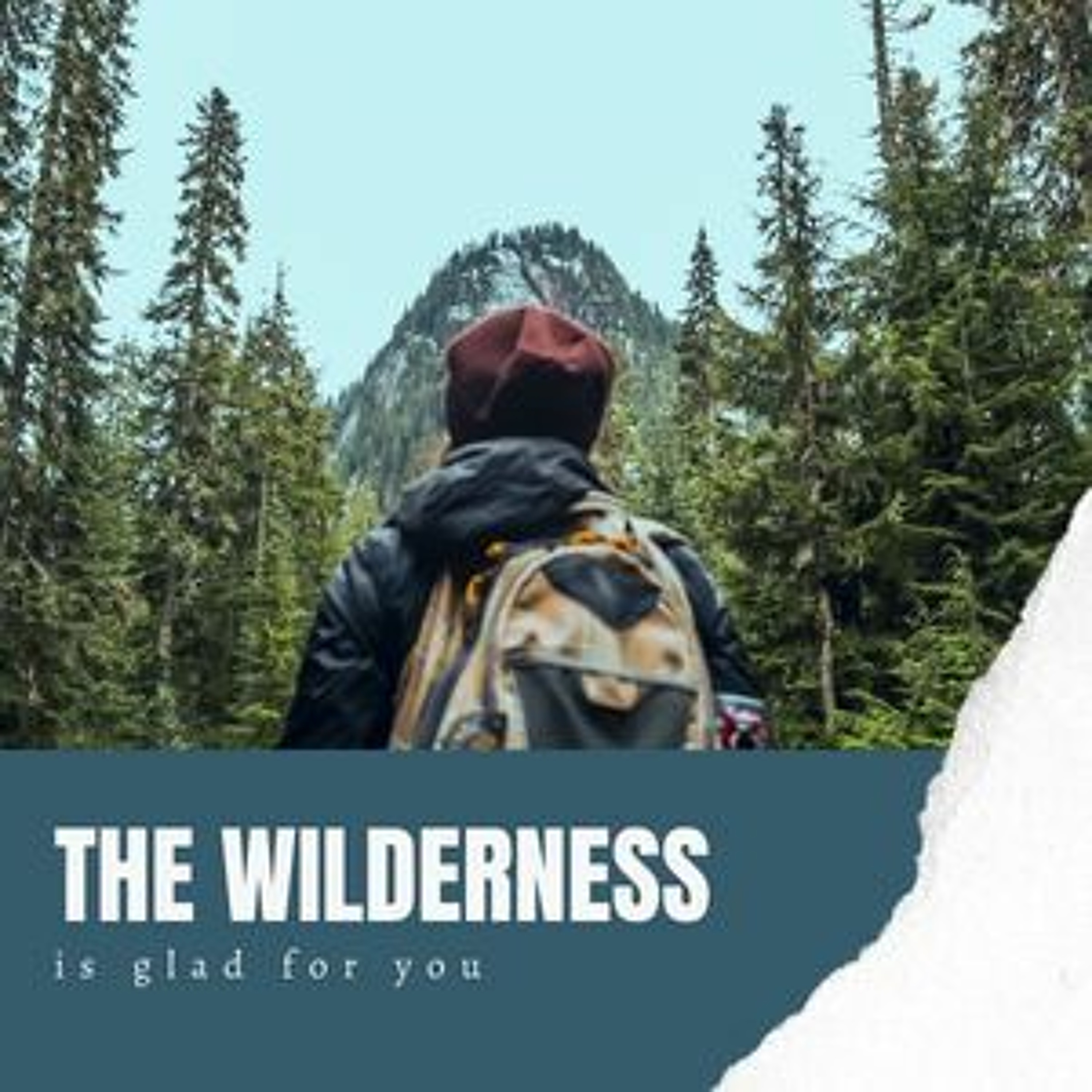 The Wilderness is Glad for You // Pas Subash Cherian episode artwork