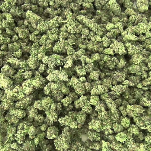 Smoked out (old) (Prod By. Tyler Durden)