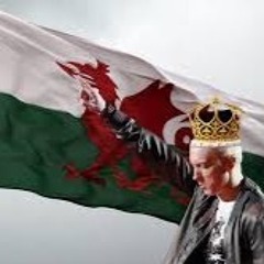 Eminem Mg Experiment
