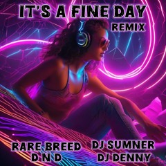Rarebreed D N D Fine Day (sample) DJ SUMNER DJ DENNY