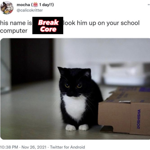 Maxwell The Cat Breakcore..?