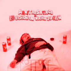 Zu Schön Um Wahr Zu Sein (Rot Fünf Remix)