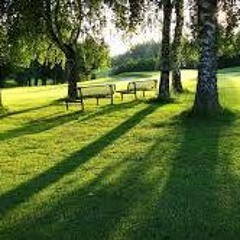 Sunny Day (prod. pr!d3)