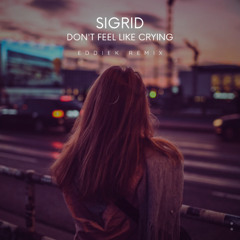 Sigrid - Don't Feel Like Crying (EddieK Remix)