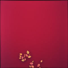 Maroon Lake Farewell