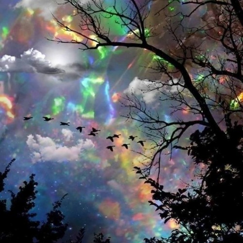 2020 - 10 - 10 Hommage To Coss, Iorie & Zoe Reijue