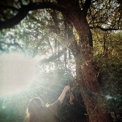 Rowan Tones