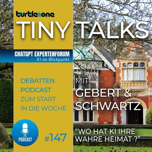Turtlezone Tiny Talks - Wo hat KI ihre wahre Heimat?