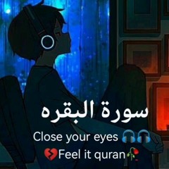 من اروع تلاوات القرآن الكريم بصوت القارئ عبدالرحمن مسعد للنوم
