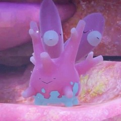 thrax got me off the map (grotesq)