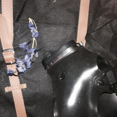 my dog ate my homework.ft.cartoon ben