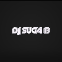 Suga Rush Mixshow - Ep. 29 (Dancehall 2024 Radio Mix)