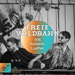 HW - Freie Wildbahn 005 - Kollektiv Luether at Coconut Daydance