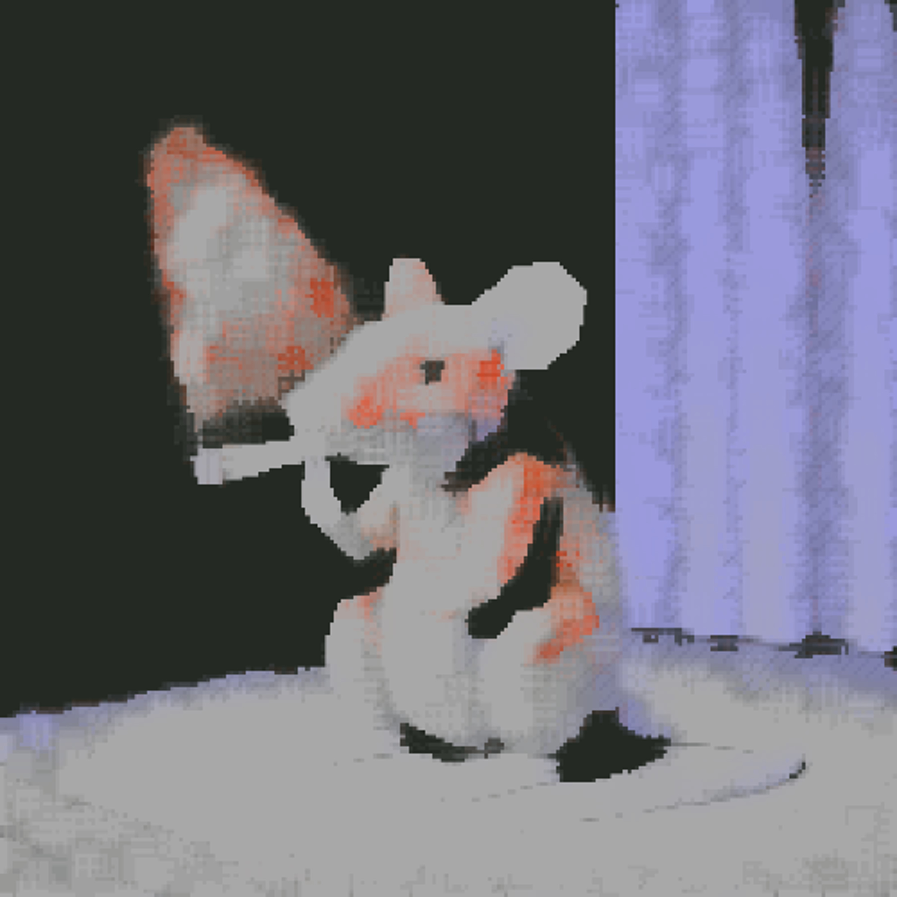 rats episode artwork