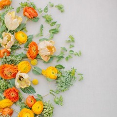 جريمة الحياة / يسرا حمزة