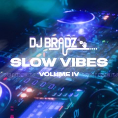 Slow Vibes Volume IV 2022 @djbradzo