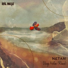 Premiere: Idil Mese - Dünya Halim (Netam Remix) [Ada Music]