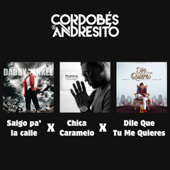 Salgo Pa' la Calle x Chica Caramelo x Dile Que Tu Me Quieres (Cordobés & Andresito) - PREVIEW