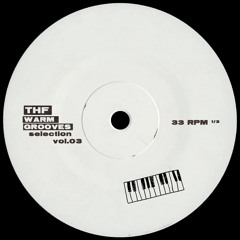 Warm Grooves Selection Vol.03