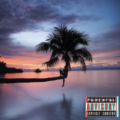 Fiji (Feat. SodaGas and Pourantine)