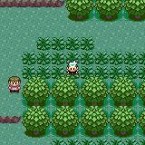 forest