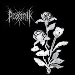 Load Da Ammo Kilos Loud