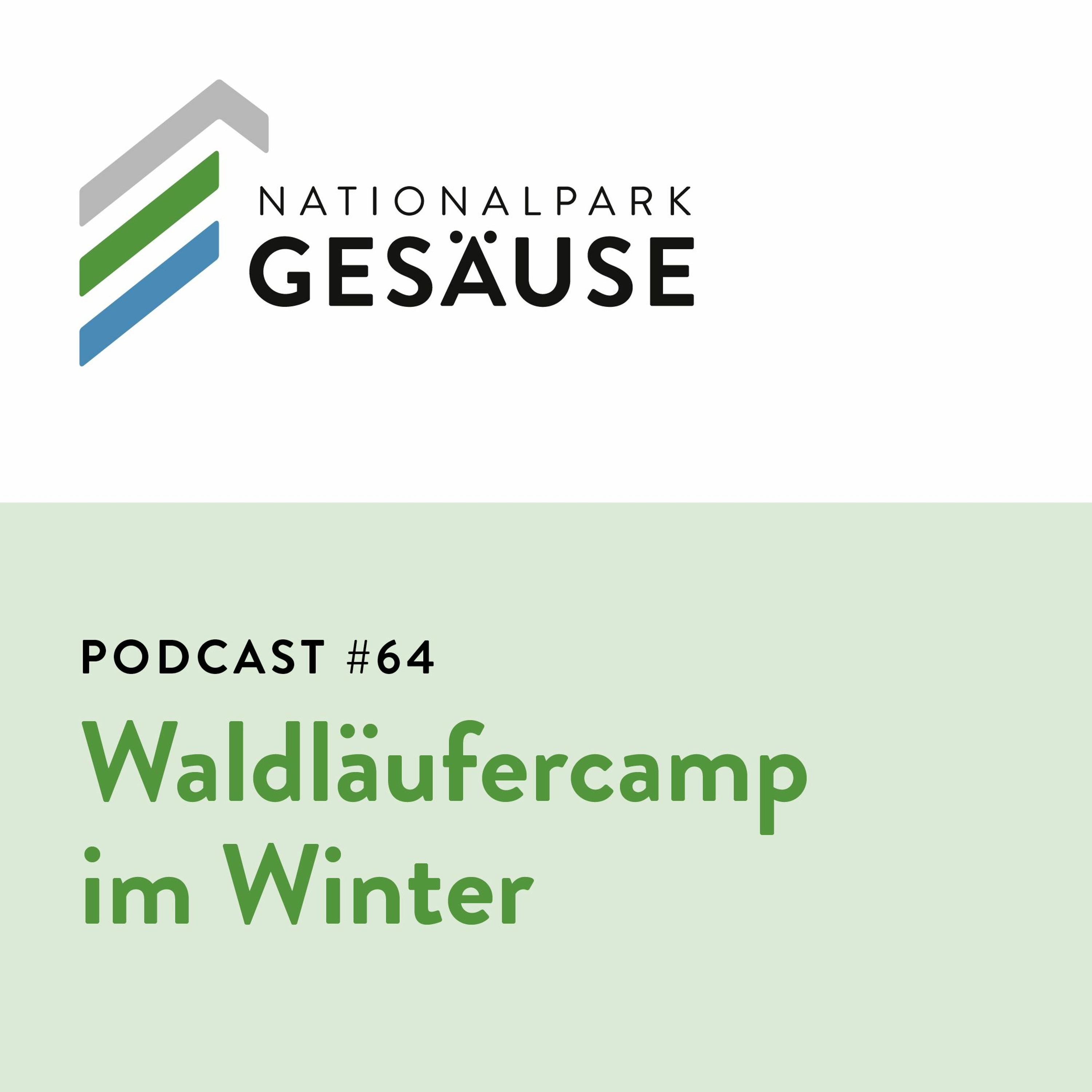 Podcast #64 - Waldläufercamp im Winter episode artwork