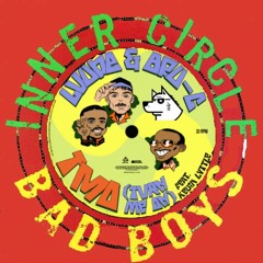 Luude, Bru-C, Kevin Lyttle & Inner Circle - Bad Boys Turn Me On (TMO) - (DJ Nair's Live Mash)
