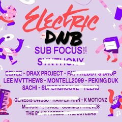 Electric Ave DNB ( Sub Focus, Drax Project, Lee Mvtthews, Montell2099, Peking Duk, Sachi, K Motionz)