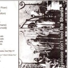 Government by The SHARDS