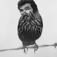 We Gonna Do what they say it cant be done ! Yes , Amen Brother !