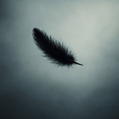 Vidani - Controlled Hovering