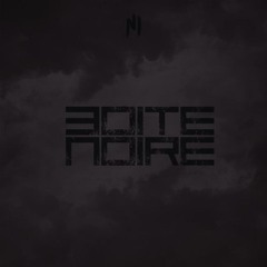 Ninho - Boîte noire