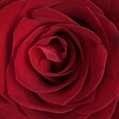 Back to Basic (Part1)